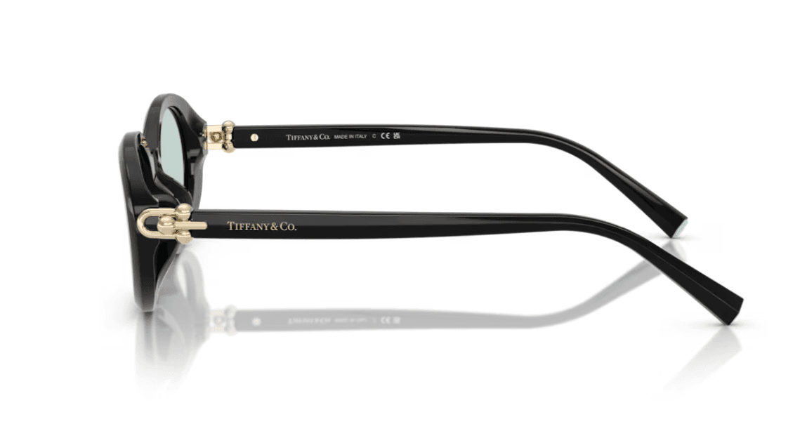 TIFFANY & CO. TF4242D — Lateral